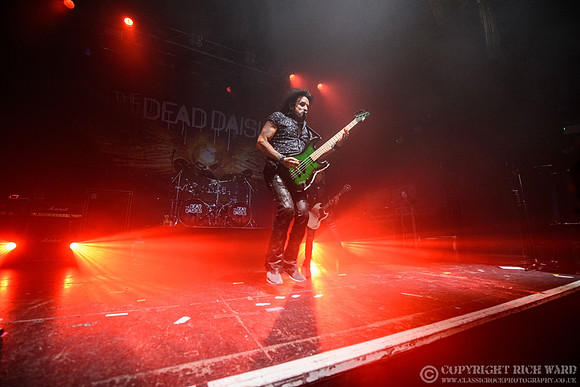 Dead Daisies