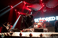 Skindred