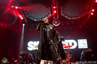 Skindred