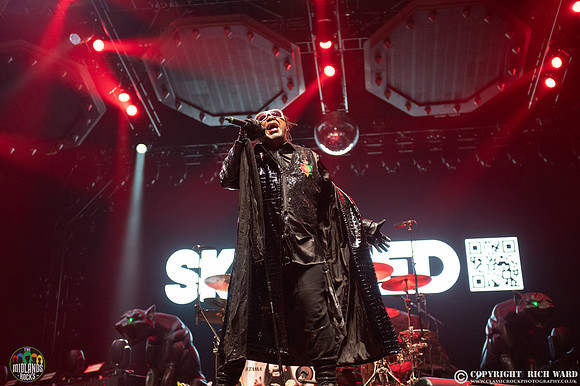 Skindred
