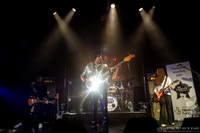 Dizzy Lizzy