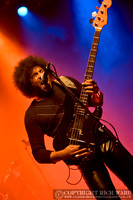 Dizzy Lizzy