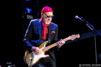 The Who
