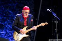 The Who