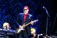 The Who