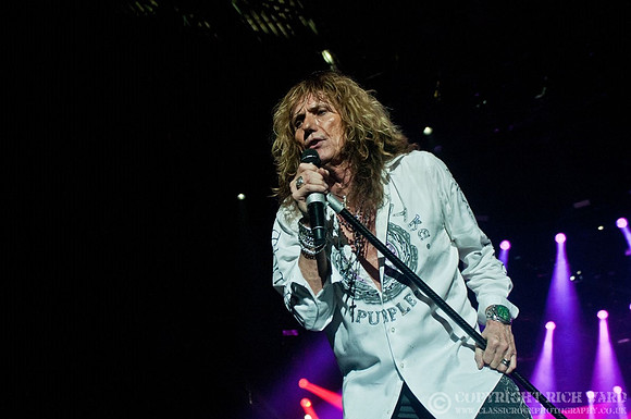 Whitesnake