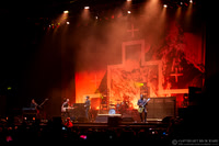 The Cult