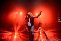 Dead Daisies