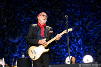 The Who