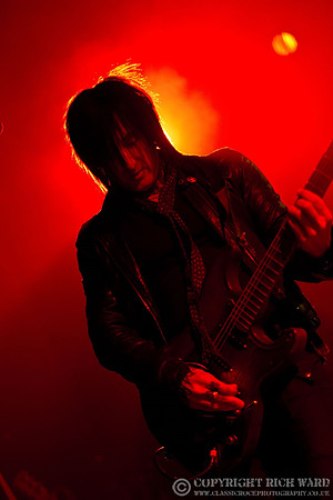 Dead Daisies