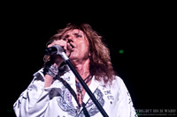 Whitesnake