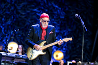 The Who