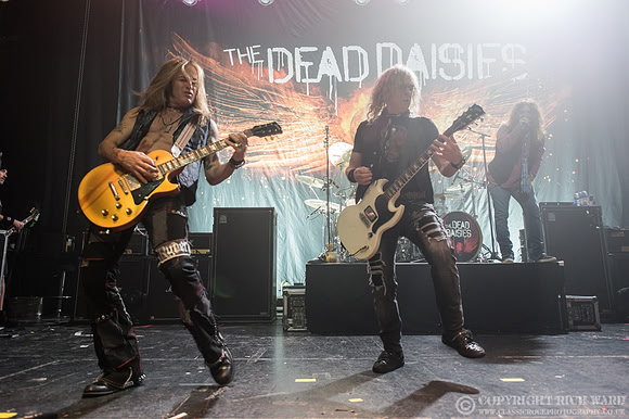 Dead Daisies