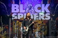 Black Spiders