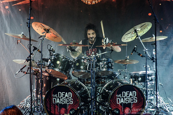 Dead Daisies