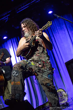 Hayseed Dixie