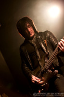 Dead Daisies