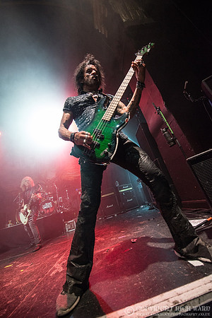 Dead Daisies