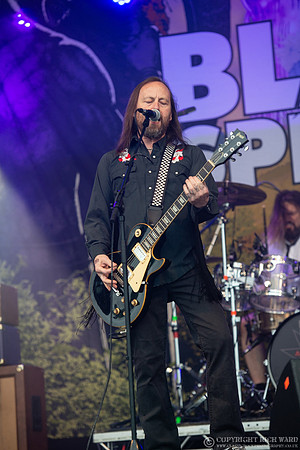 Black Spiders