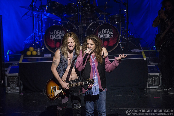 Dead Daisies