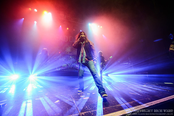 Dead Daisies