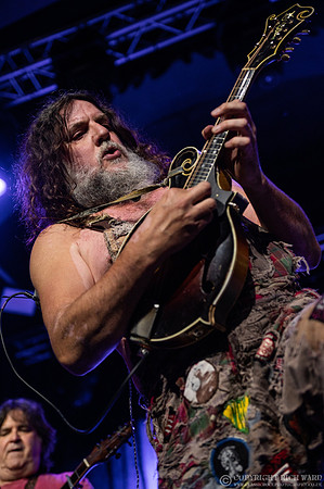 Hayseed Dixie