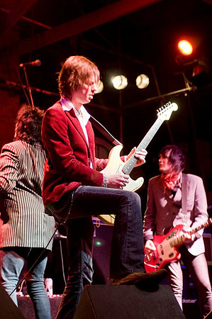 Diamond Dogs