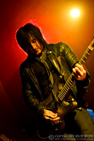 Dead Daisies