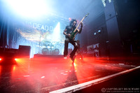 Dead Daisies