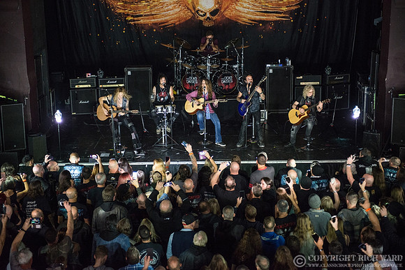 Dead Daisies
