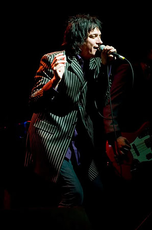 Diamond Dogs