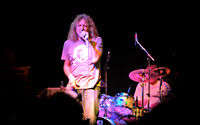 Robert Plant & The Honeydrippers