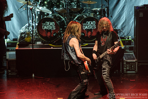 Dead Daisies