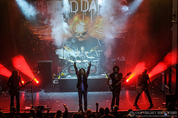 Dead Daisies