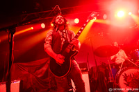 The Sheepdogs