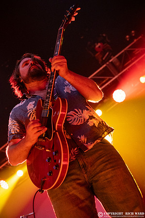 The Sheepdogs