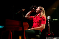 The Sheepdogs