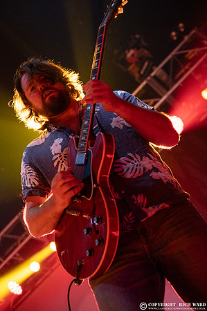 The Sheepdogs