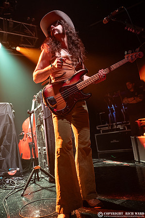 The Sheepdogs
