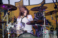Black Spiders