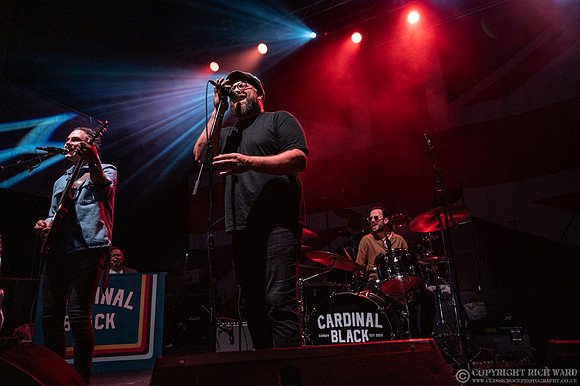 Cardinal Black