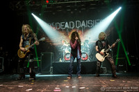 Dead Daisies