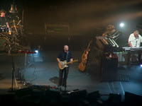 David Gilmour