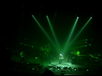 David Gilmour