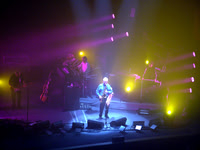 David Gilmour