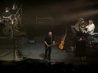 David Gilmour