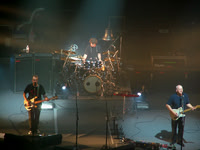 David Gilmour