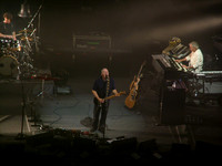 David Gilmour