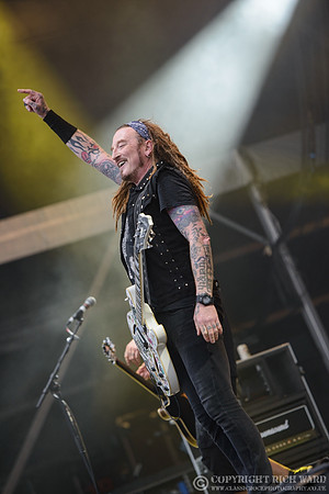 The Wildhearts