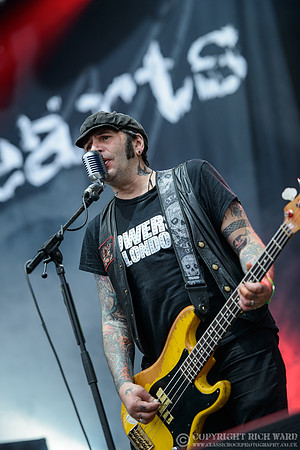 The Wildhearts